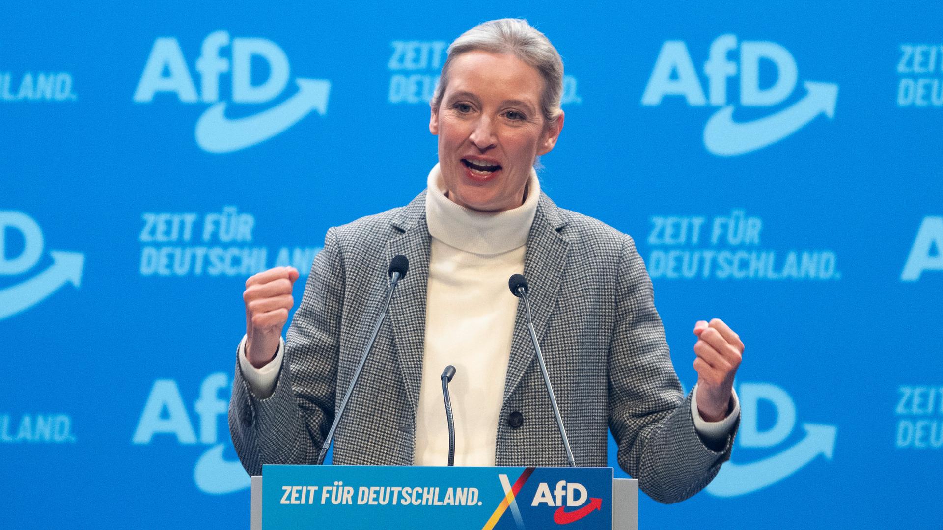 Alice Weidel Kinder